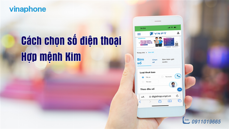 Cac yeu to phong thuy ho tro menh Sa Trung Kim sinh nam 2015 can bang hai hoa